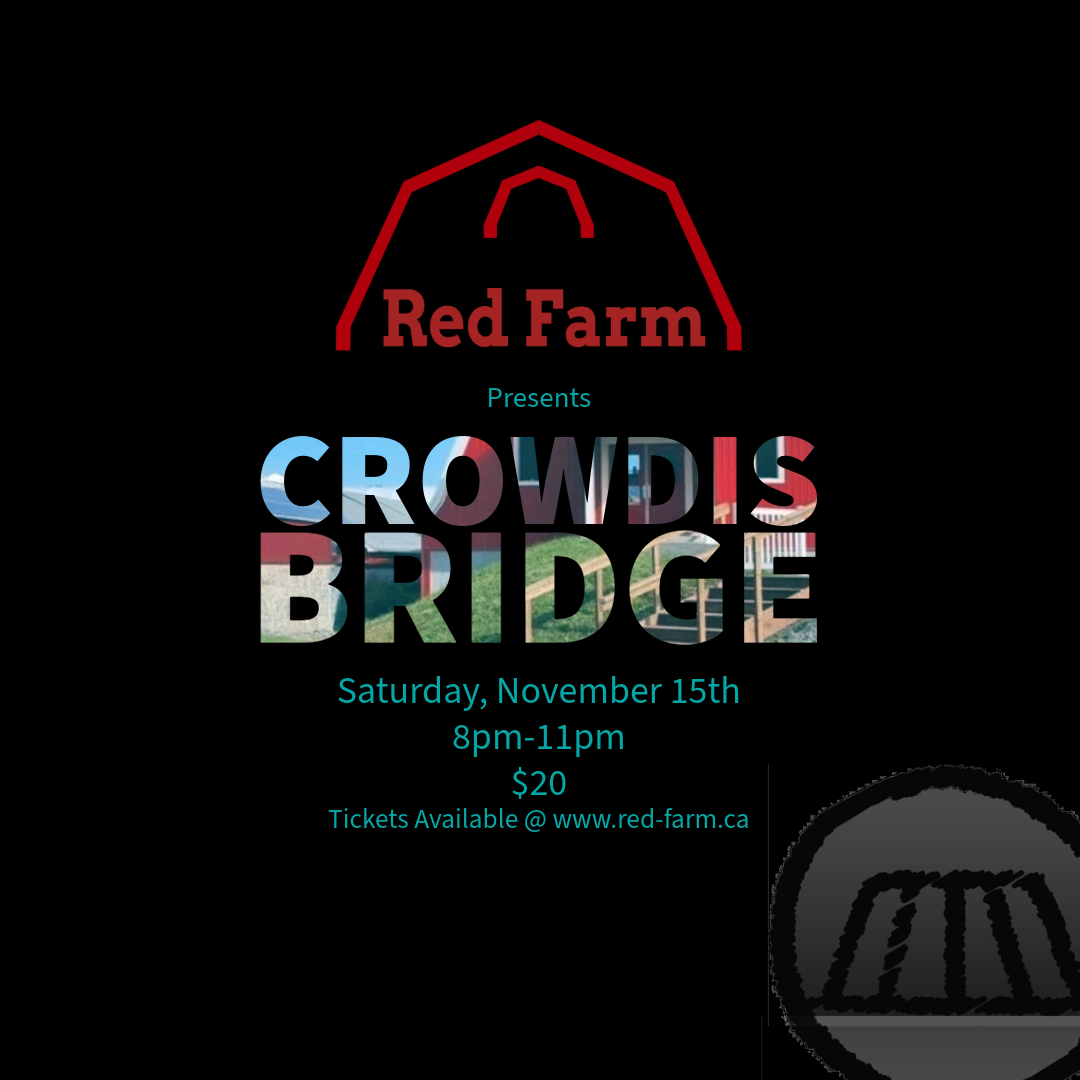 Crowdis Bridge Live Nov 15th